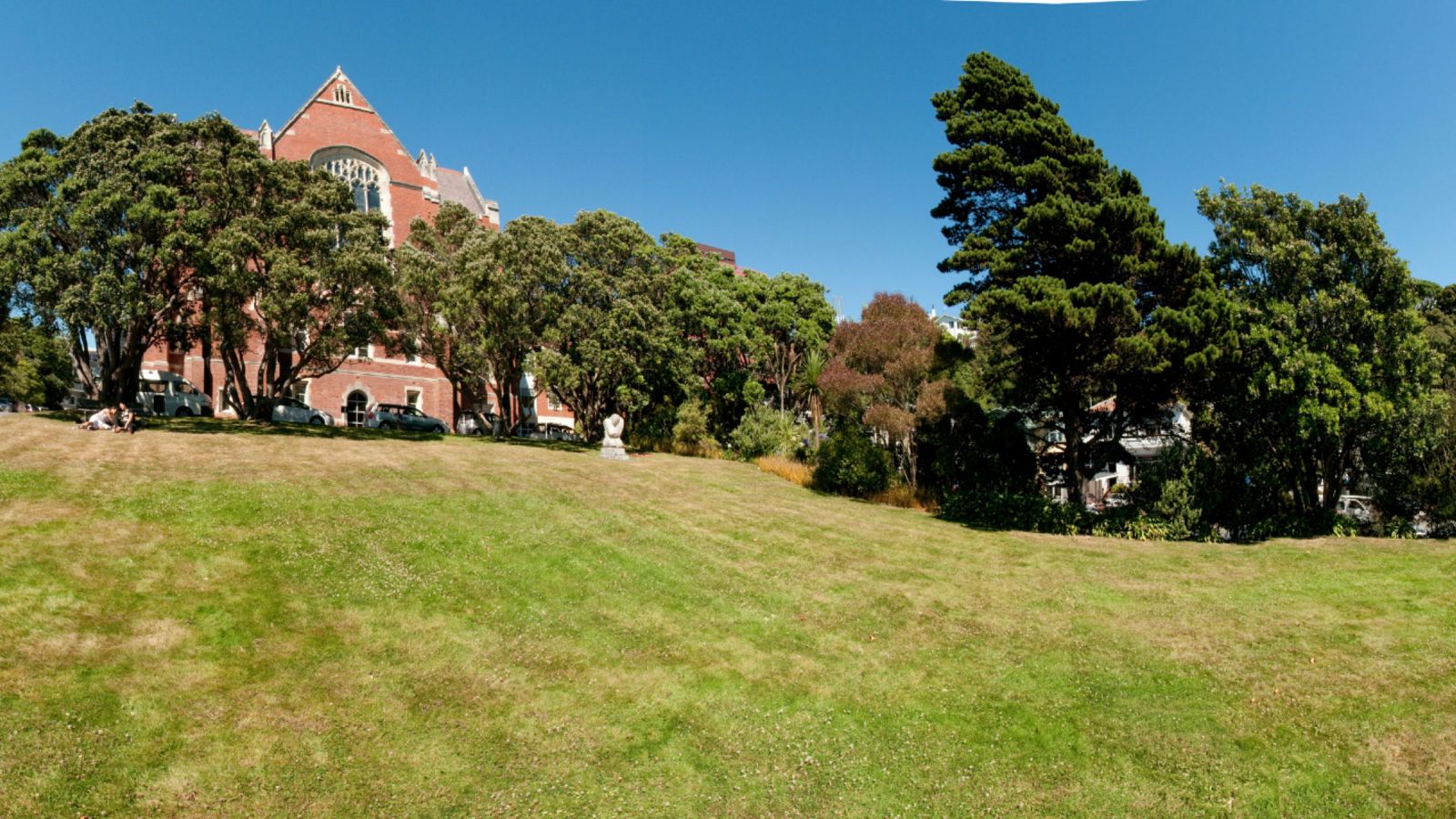 Hunter building lawn
